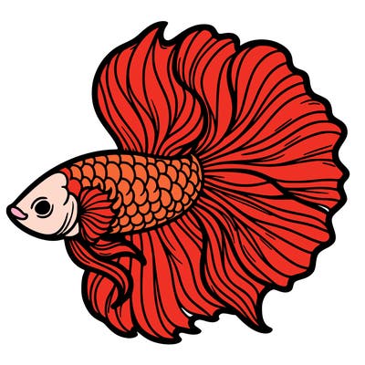 betta fish