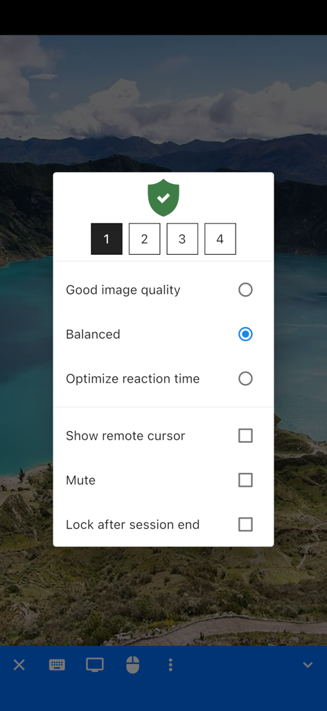RustDesk Remote Desktop - RustDesk iOS remote session settings for image quality and display options