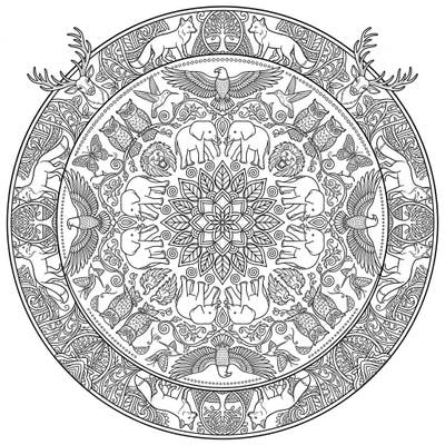 Discover a captivating adult animal mandala featuring a diverse array of wildlife, from majestic stags to soaring eagles. This highly detailed coloring page is perfect for adults seeking a mindful and engaging artistic escape.