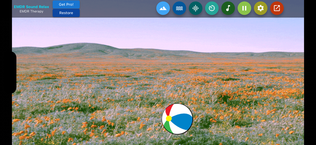 Interface of EMDR Sound Relax app showing a colorful ball for eye movement therapy over a field of orange flowers