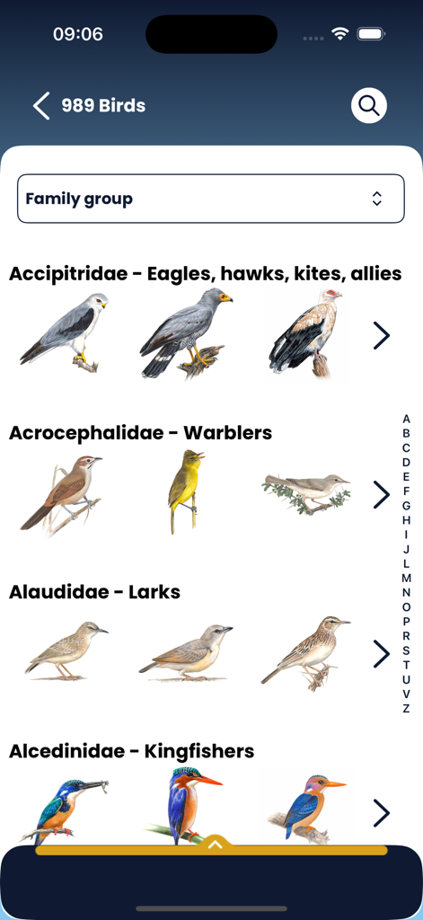 Roberts Birds - Grupos de familias de aves en la aplicación Roberts Birds con ilustraciones de águilas, currucas y alondras