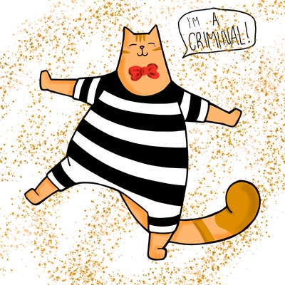 animals_07