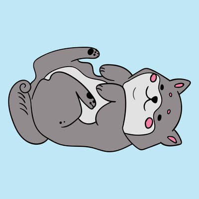 animals_30