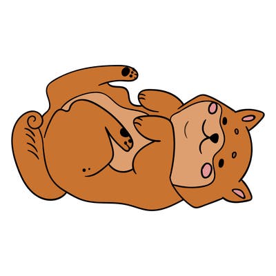 animals_30