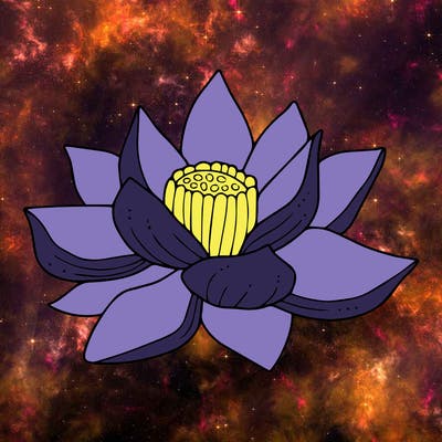 flowers_08
