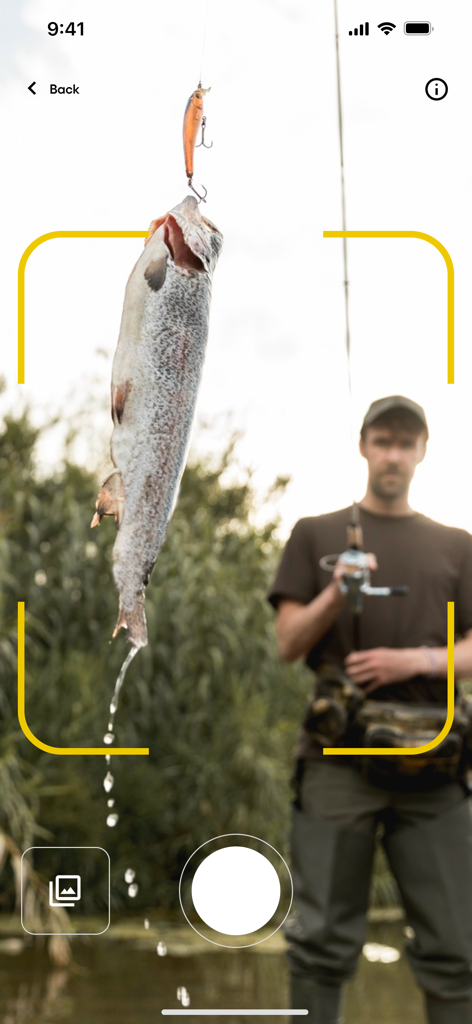 Una interfaz de aplicación móvil escaneando un pez capturado para identificar su especie y calificación de sostenibilidad