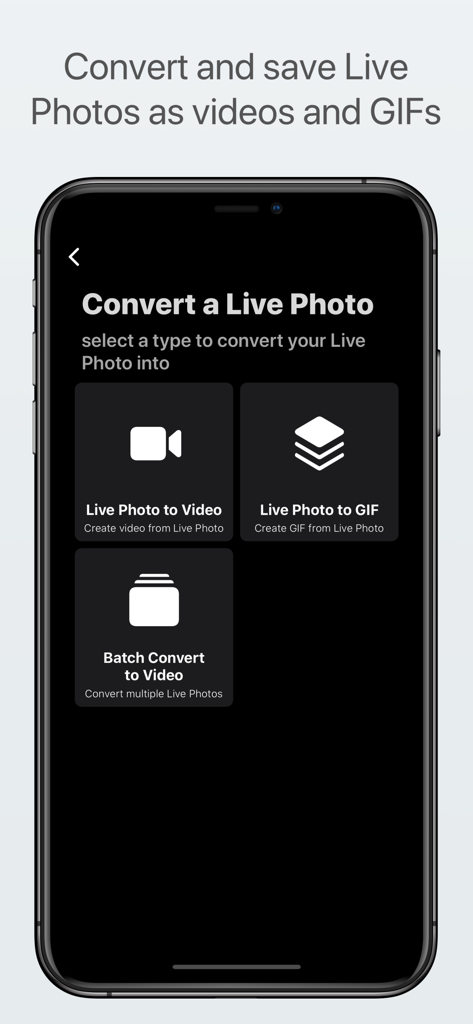 Live Studio - All-in-One - Interface of Live Studio app showing options to convert Live Photos into videos or GIFs