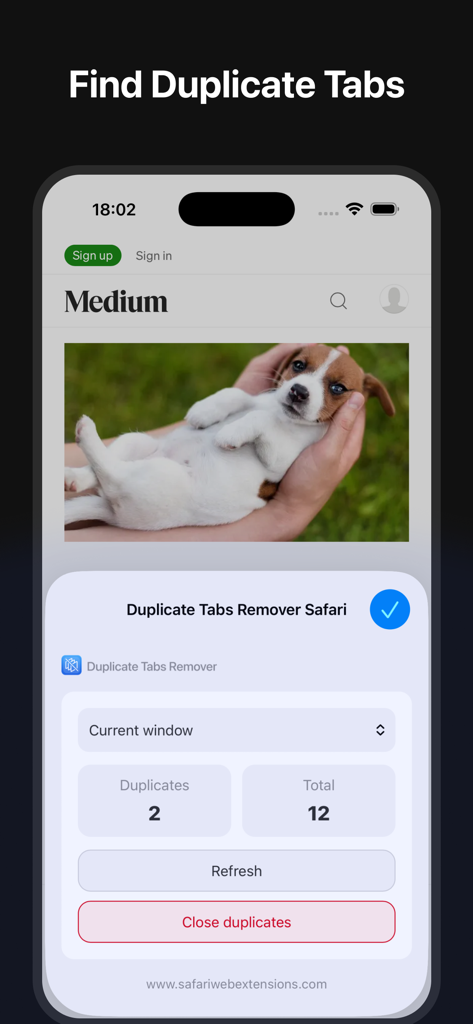 Duplicate Tabs Remover - Interface of the Duplicate Tabs Remover app showing two duplicate tabs found in a Safari mobile browser