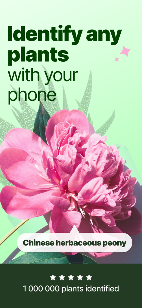 Plant Identifier & Scanner + - Mobile app interface identifying a pink Chinese herbaceous peony flower
