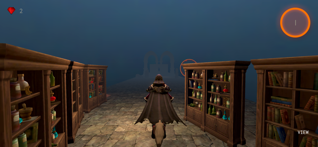 Broom Race - Um personagem bruxo em uma capa marrom em pé entre estantes cheias de poções e livros em uma biblioteca escura