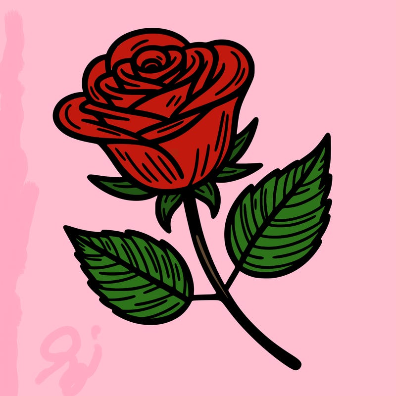 a single rose