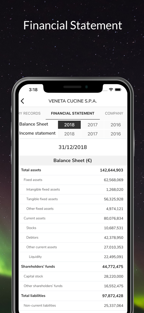 s-peek – Credit Report - Smartphone screen showing a detailed company financial statement and balance sheet within the s-peek app