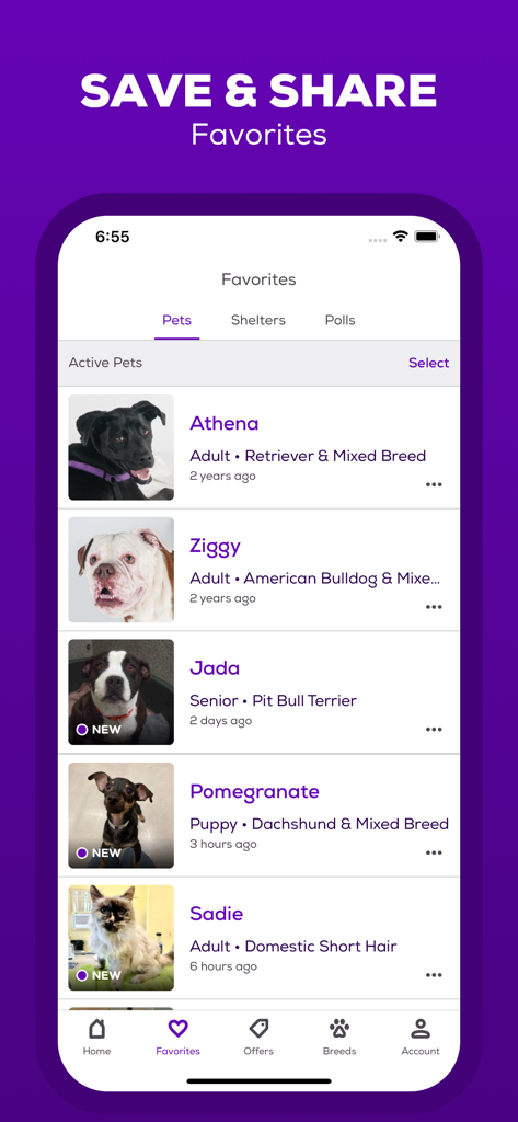 Petfinder - Adopt a Pet - Petfinder app screen showing a list of favorited adoptable pets including dogs and cats