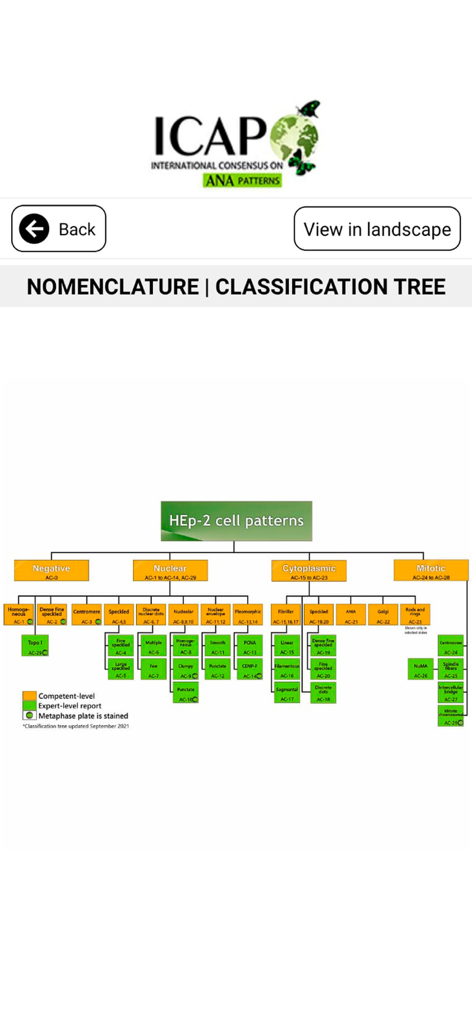 Árbol de nomenclatura y clasificación de patrones de células HEp-2 en la aplicación ICAP