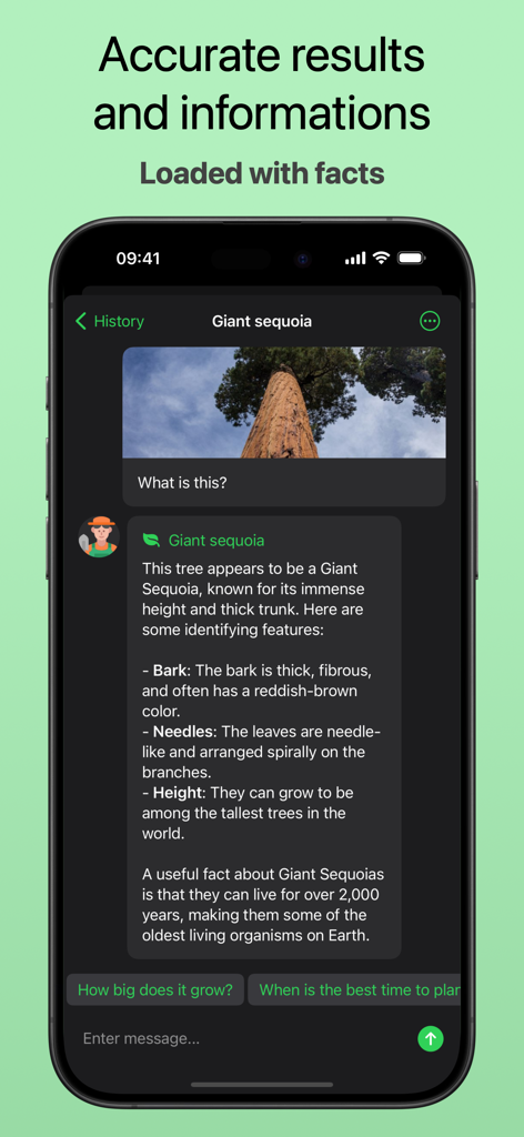 Plant Identifier - AI Scanner - Interfaz de la aplicación Identificador de Plantas que muestra resultados de identificación IA para un árbol de Secuoya Gigante con hechos botánicos detallados.