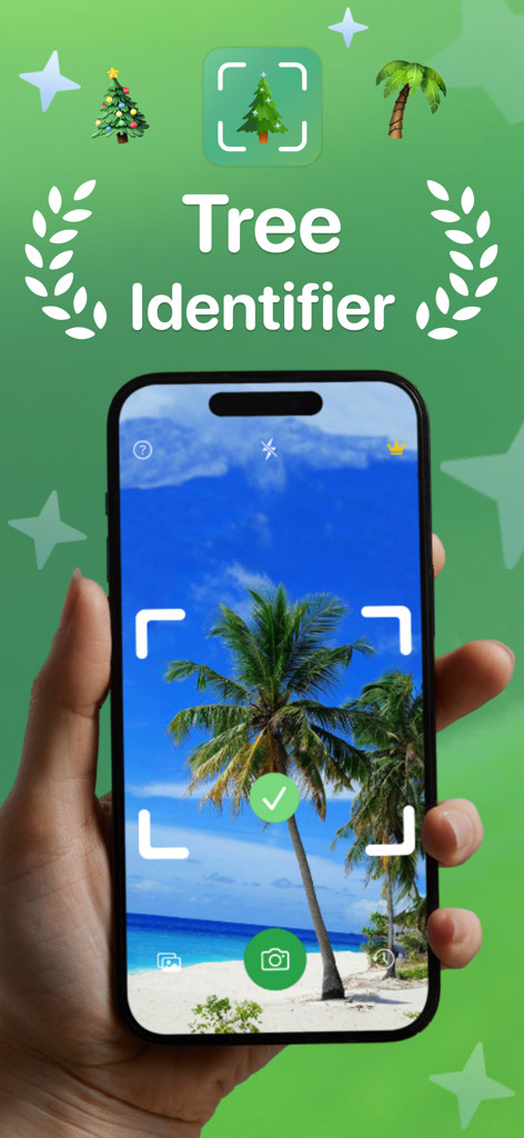 Una mano sosteniendo un smartphone usando la aplicación Identificador de Árboles para escanear una palmera en una playa tropical.