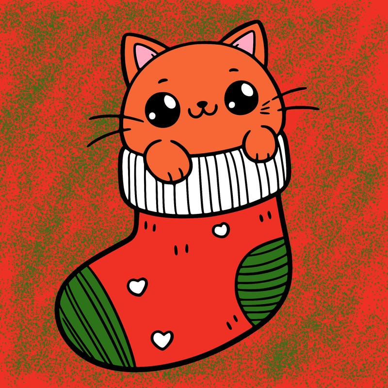 cute cat in a sock