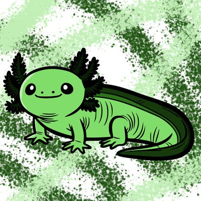 axolotl
