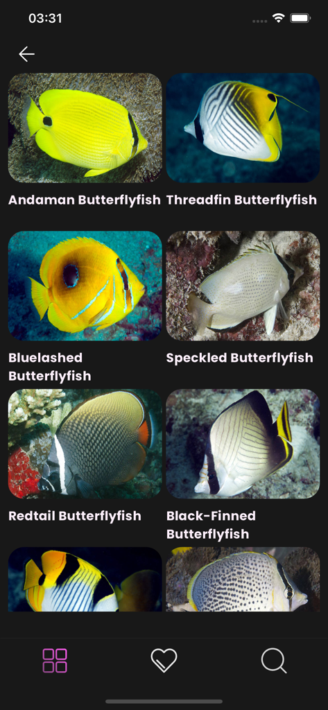 Maldivian Fish Guide - Galerie de photos de diverses espèces de poissons-papillons dans l'application mobile Maldivian Fish Guide.