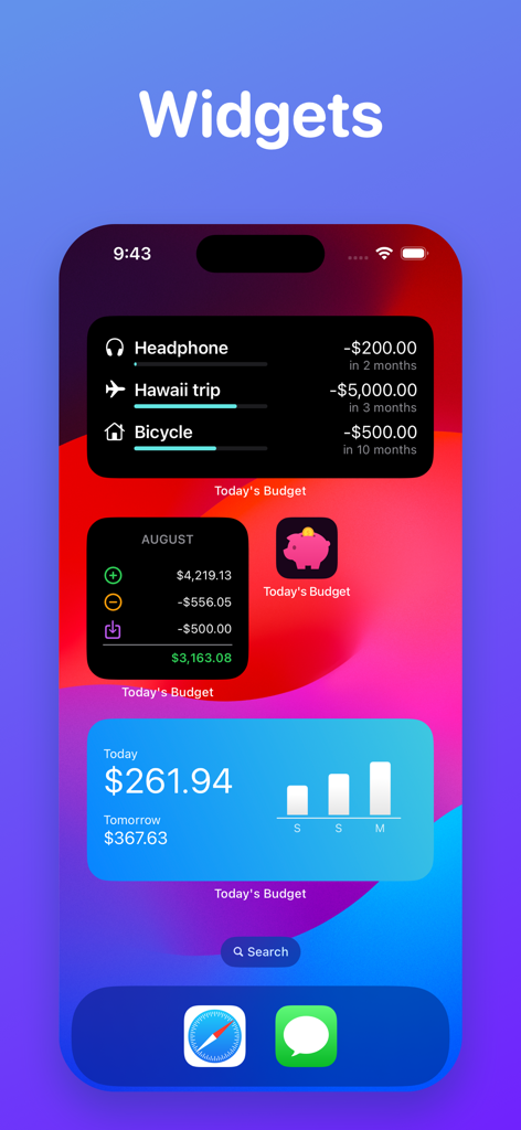 iPhone home screen displaying various financial and savings goal widgets for the Todays Budget app