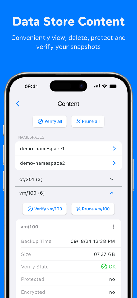 ProxMate Backup - ProxMate Backup app data store content screen displaying backup snapshots and verify status