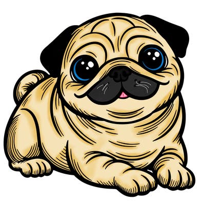 pug