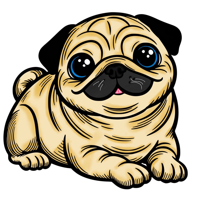 pug