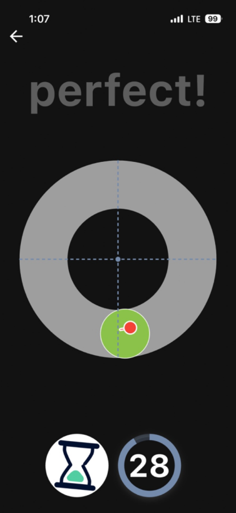Honest Measure - Honest Measure app interface showing a balance assessment test with a target graphic and timer