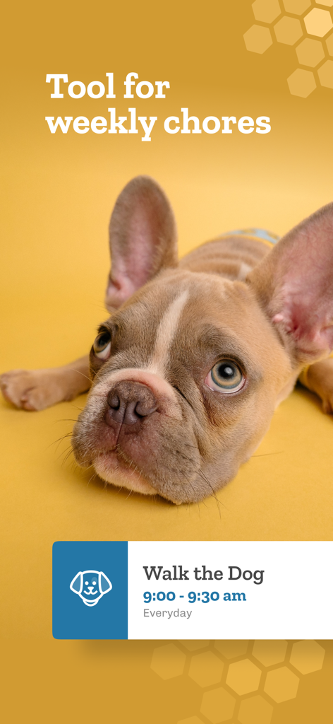 Bee Ready: Daily Reminders - Bee Readyアプリの画面。週ごとの雑務の一部として犬の散歩をするタスクを表示。