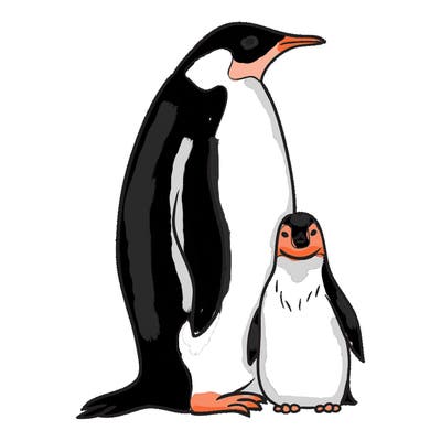 animals_31