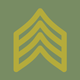 Army NCO Tools & Guide