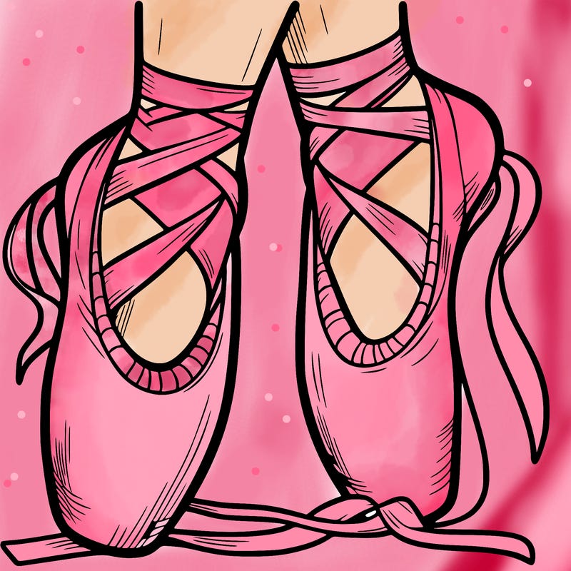 ballet shoes