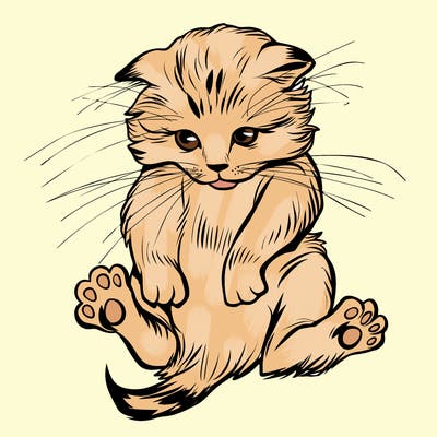 animals_20