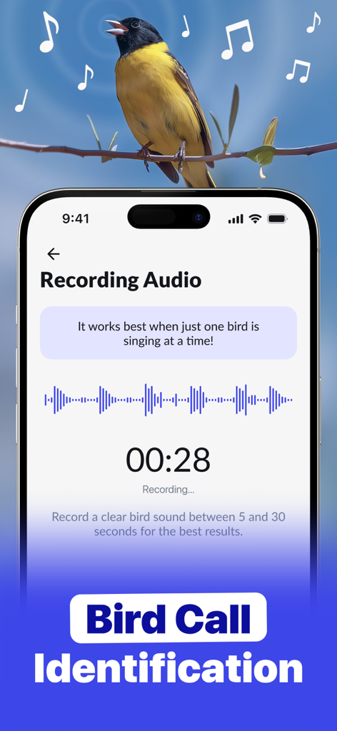 A smartphone interface showing the bird call identification feature with an audio waveform and a singing yellow bird