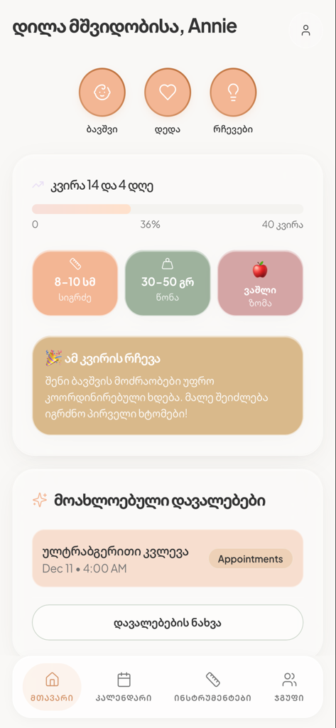Startbildschirm der Bude App, der den Schwangerschaftsfortschritt für Woche 14 mit Statistiken zum Babywachstum und anstehenden Arztterminen anzeigt