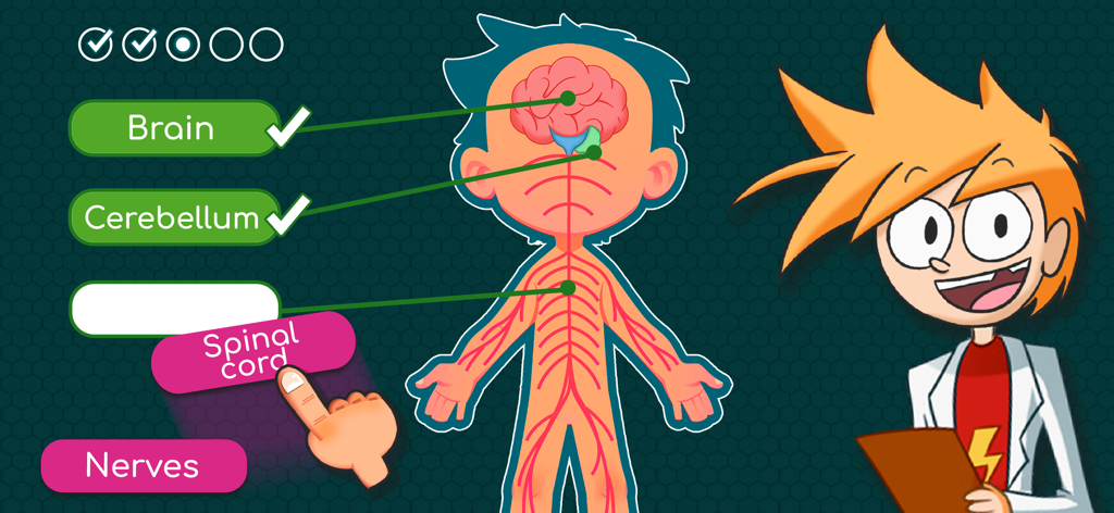 Educational game screen showing a diagram of the human nervous system with labeling activity for brain and spinal cord