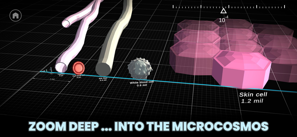 Univerzoom 3D - Explore Scale - A 3D view of the microcosmos showing the scale of cells and fibers