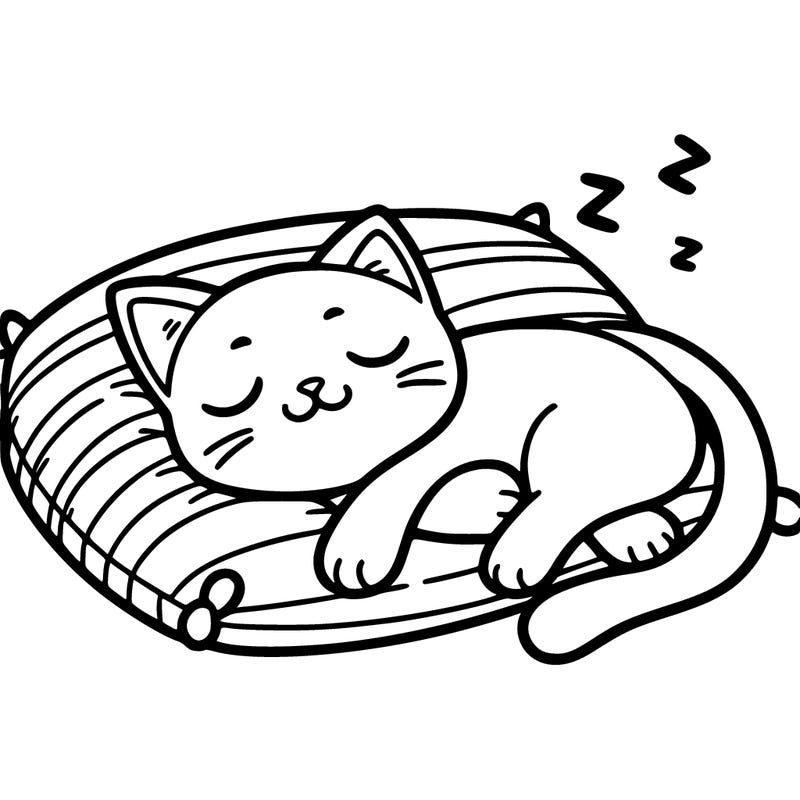 catnap