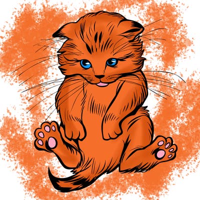 animals_20