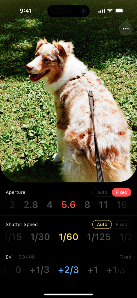 LX - Light Meter - Interface of the LX Light Meter app showing manual aperture and shutter speed controls with a live camera preview of a dog