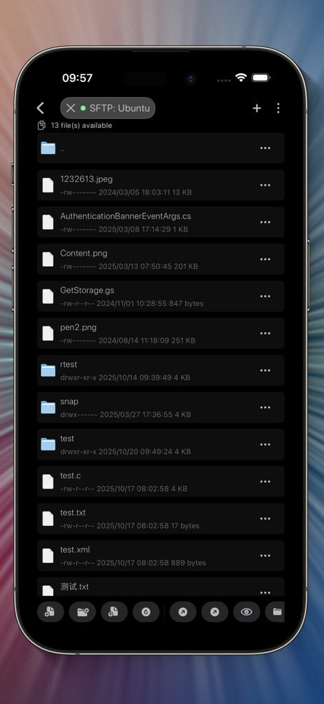 TermBean - SSH SFTP Client - TermBean app SFTP file management interface on iPhone showing remote server files