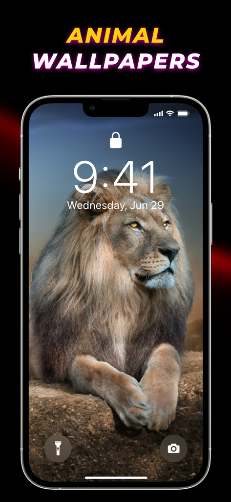 Live Wallpaper Maker 4K - Majestic lion wallpaper on an iPhone lock screen
