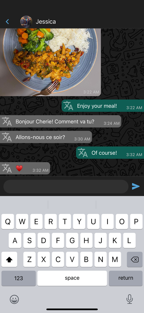 Chat Offline Plus No Last Seen - Chat interface showing translated messages in a privacy focused messaging app