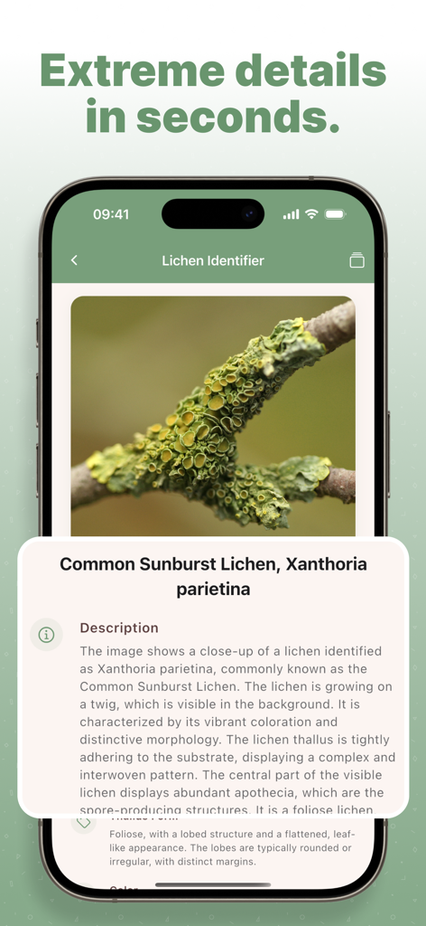 Lichen Identifier: Scan Lichen - Reference App | MWM