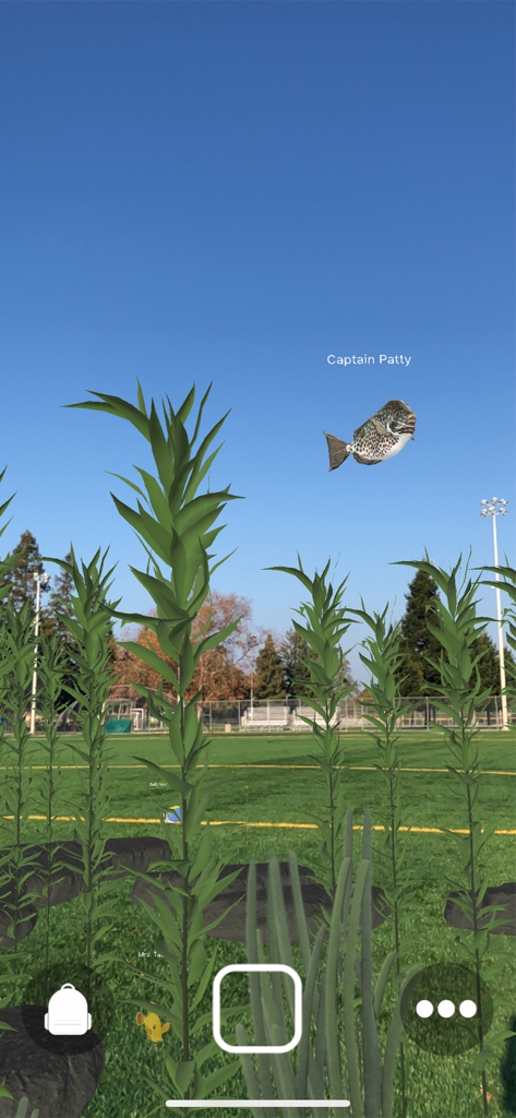 Magic Fish AR - Magic Fish AR camera view showing a 3D fish and seaweed plants in an outdoor field