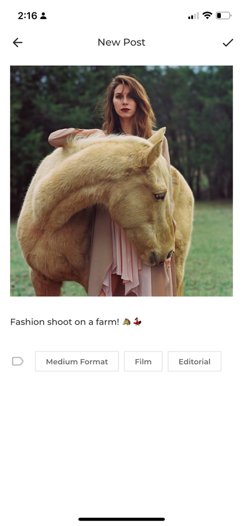 Foto Inc - New post screen in the Foto Inc app featuring a fashion photograph of a woman with a horse and metadata tags for Medium Format and Film.