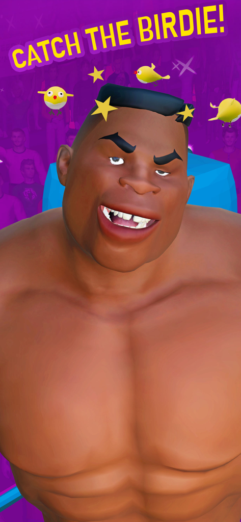 A dizzy cartoon boxer with stars and birds above his head and the text Catch the Birdie