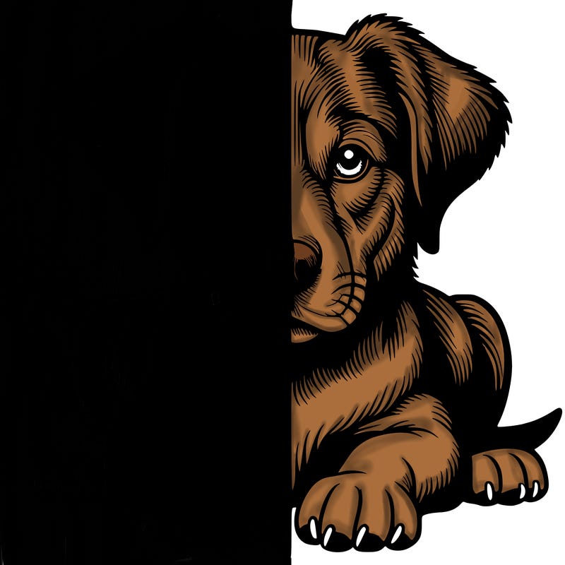 realistic dog split picture