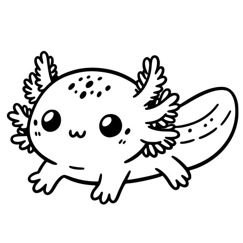 cute easy baby axolotl