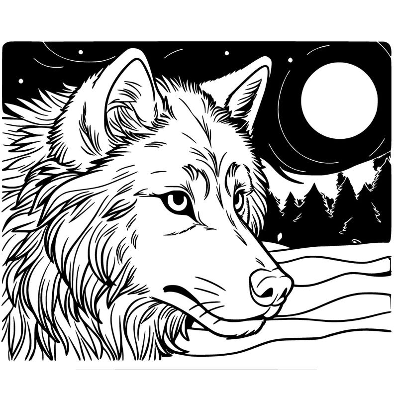 wolf at night closeup